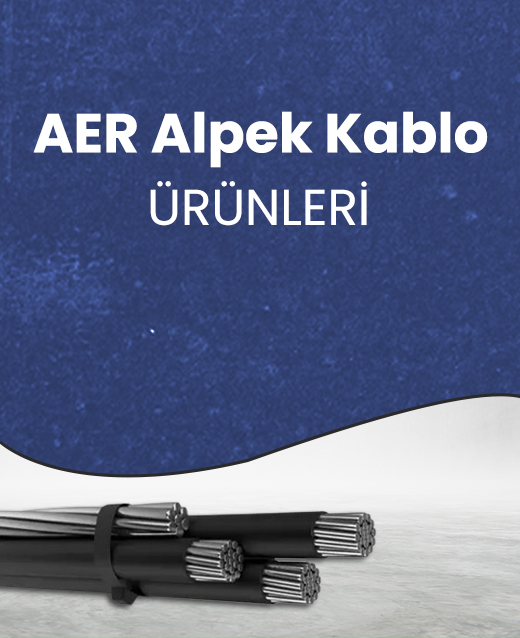 Priz Çeşitleri