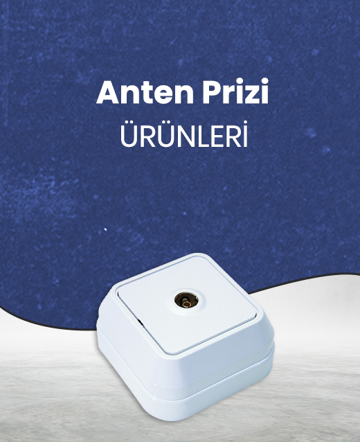 Priz Çeşitleri