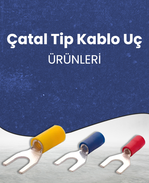 Priz Çeşitleri