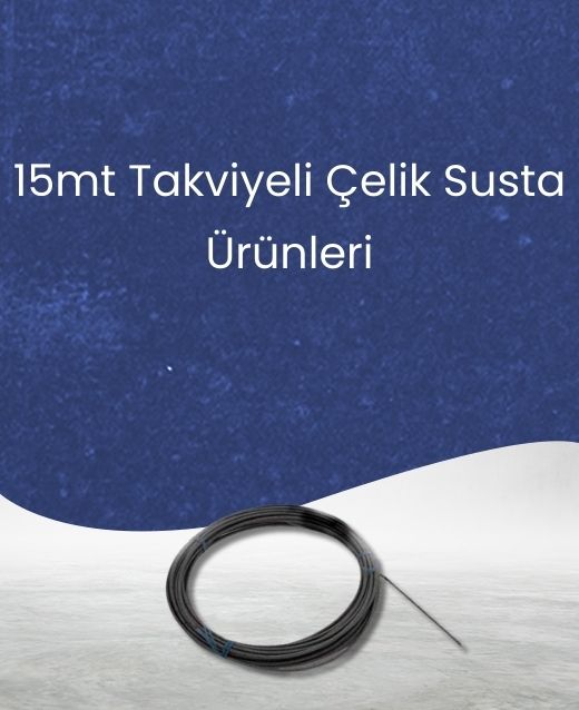 Priz Çeşitleri