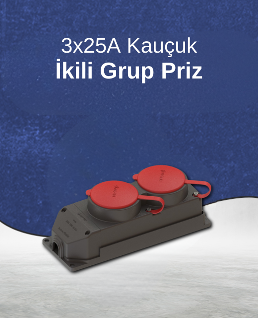 Priz Çeşitleri