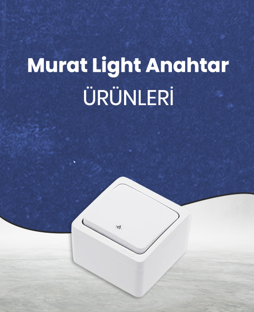 Priz Çeşitleri
