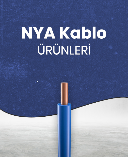Priz Çeşitleri