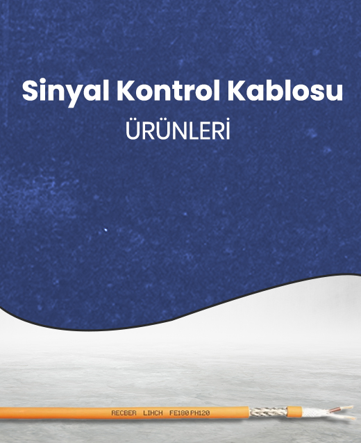 Priz Çeşitleri