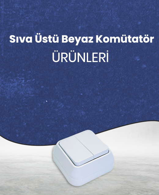 Priz Çeşitleri