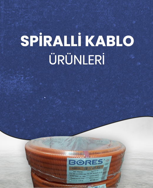 Priz Çeşitleri
