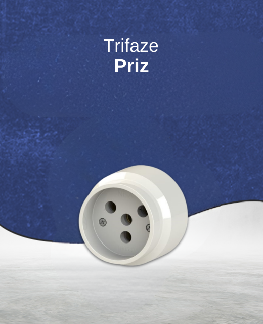 Priz Çeşitleri