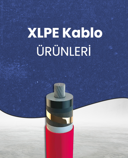 Priz Çeşitleri