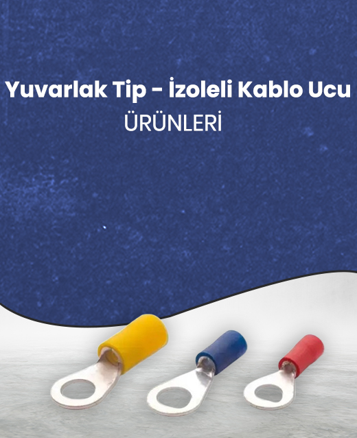 Priz Çeşitleri