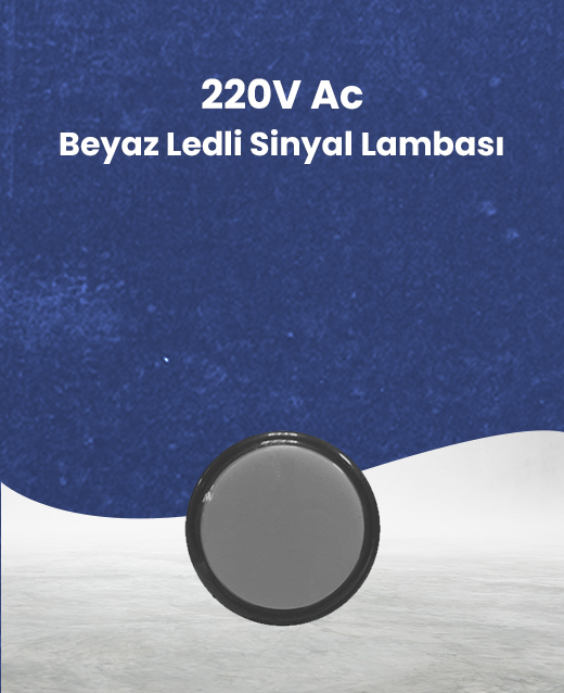 Priz Çeşitleri