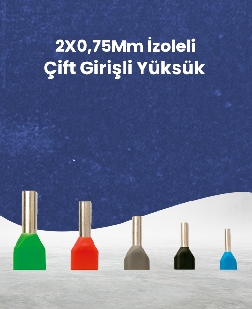 Priz Çeşitleri