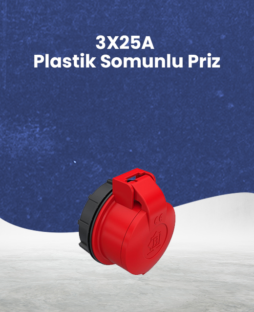 Priz Çeşitleri