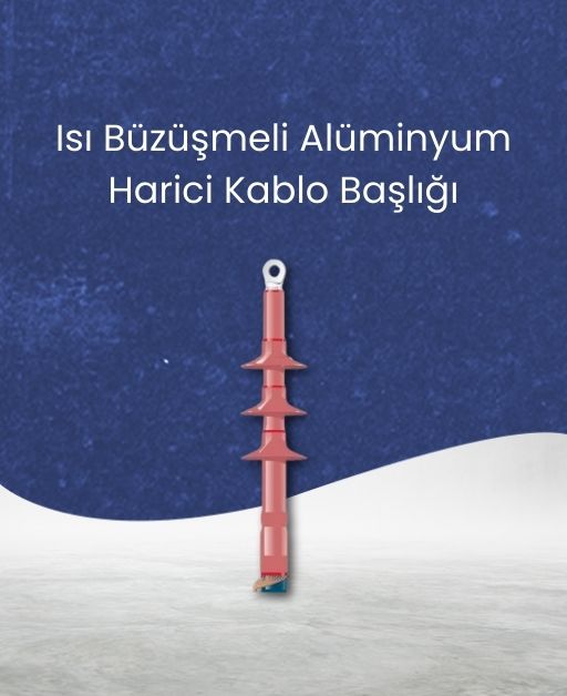 Priz Çeşitleri